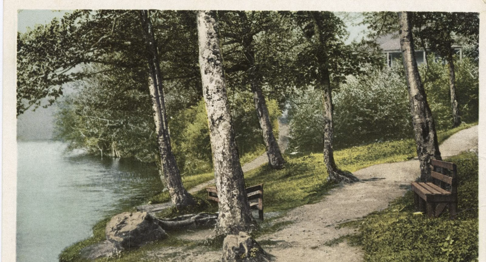 Early 1900s photo of a shoreline path under birches along Echo Lake in Franconia Notch