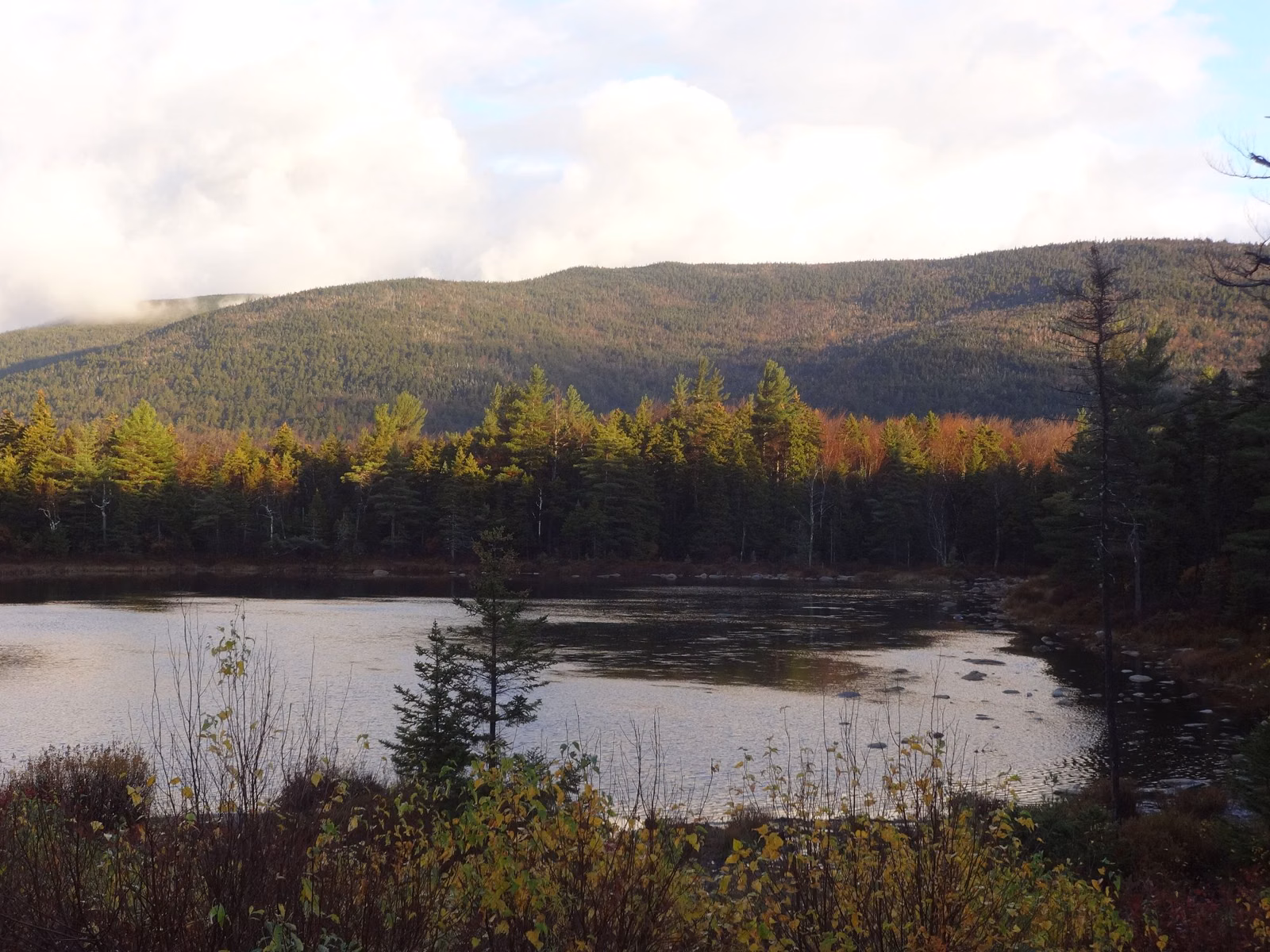 Small mountain pond below a forested ridge in October in the White Mountains