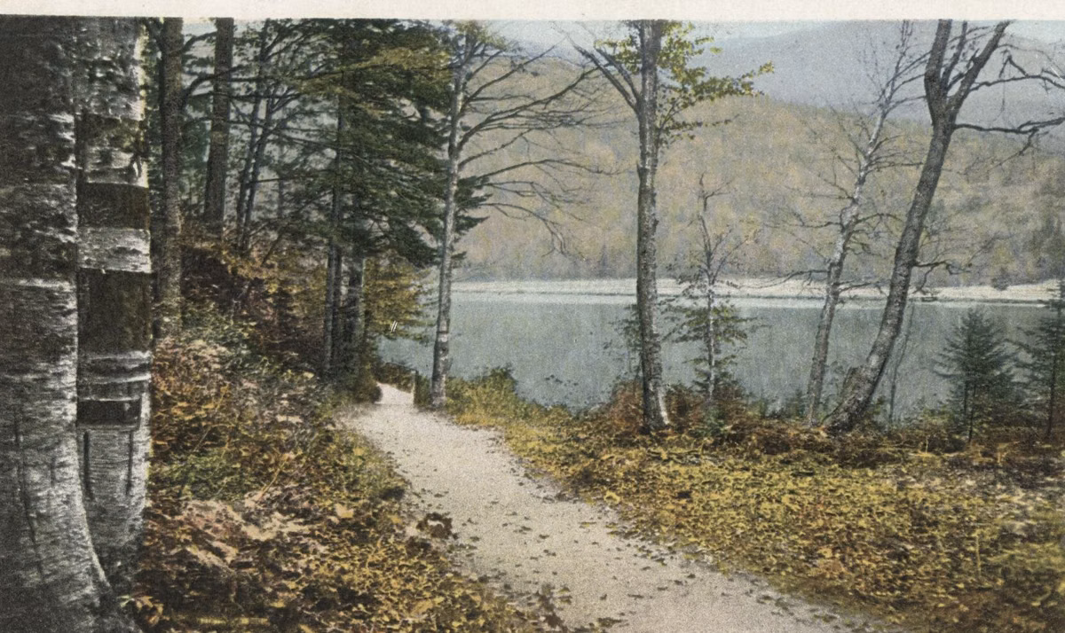 Early 1900s postcard of a woodland path beside a lake in Franconia Notch