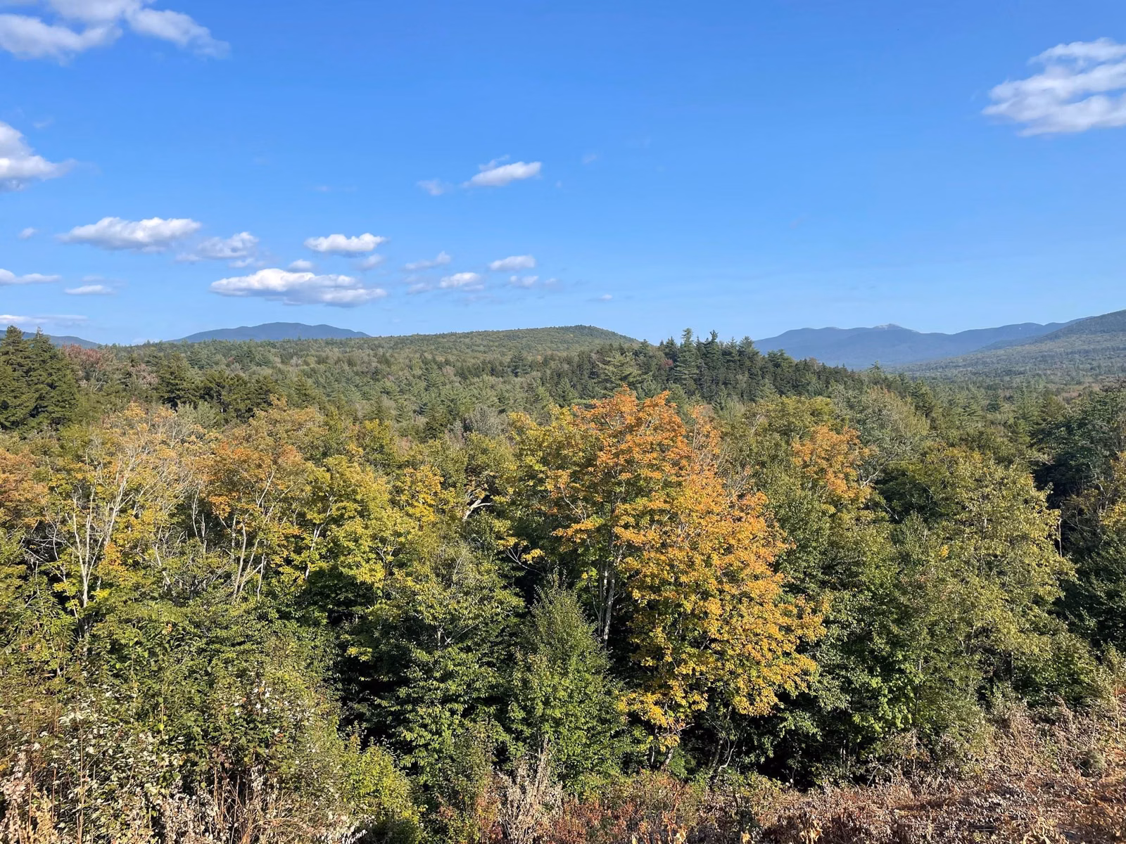 Forested valley and distant White Mountains seen from a roadside overlook in early fall